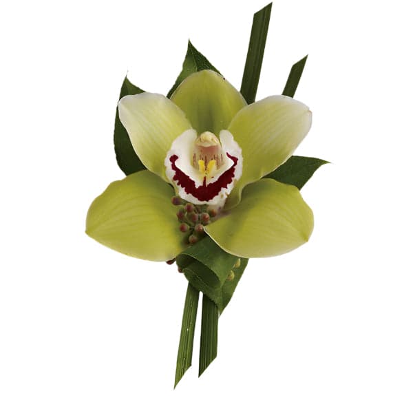 Elegant green orchid boutonniere with lush leaves, perfect for weddings and special occasions.