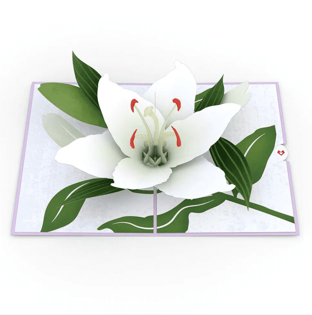 3D pop-up card featuring a stunning white lily surrounded by delicate green leaves, perfect for any occasion.