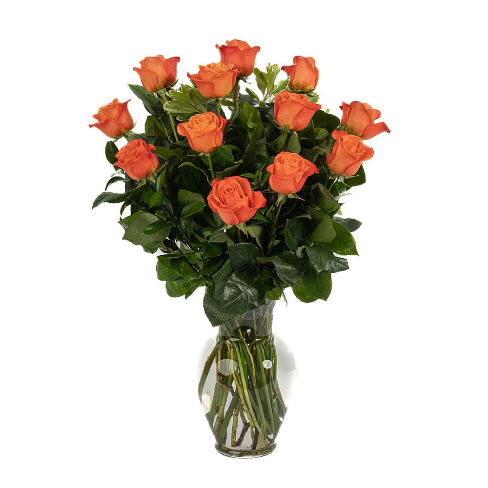 Vibrant bouquet of 12 orange roses in a clear vase, perfect for gifts or home decoration.