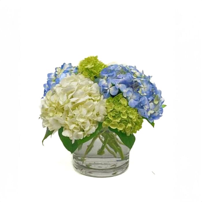 Beautiful hydrangea arrangement in a clear glass vase featuring white, blue, and green blooms. Perfect for brightening any room.
